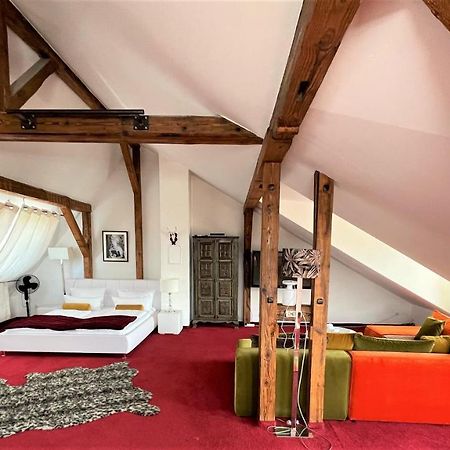 City Penthouse Mit Dachterrasse Freiburg Bagian luar foto