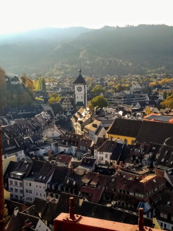 City Penthouse Mit Dachterrasse Freiburg Bagian luar foto